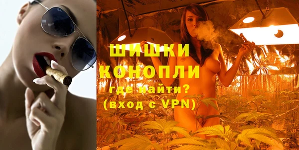 ешки Алексин